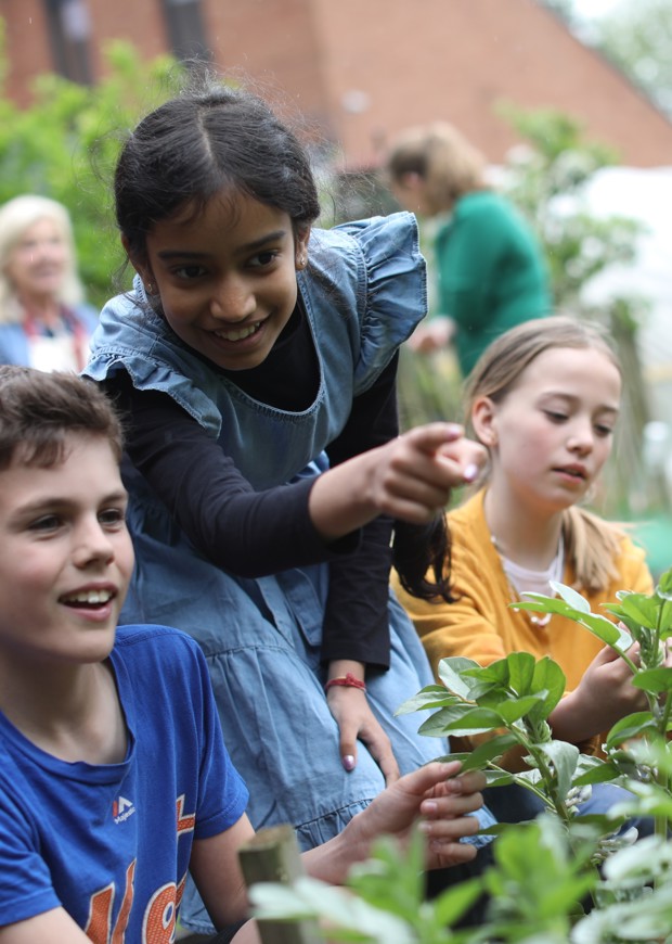 Children working with plants outside