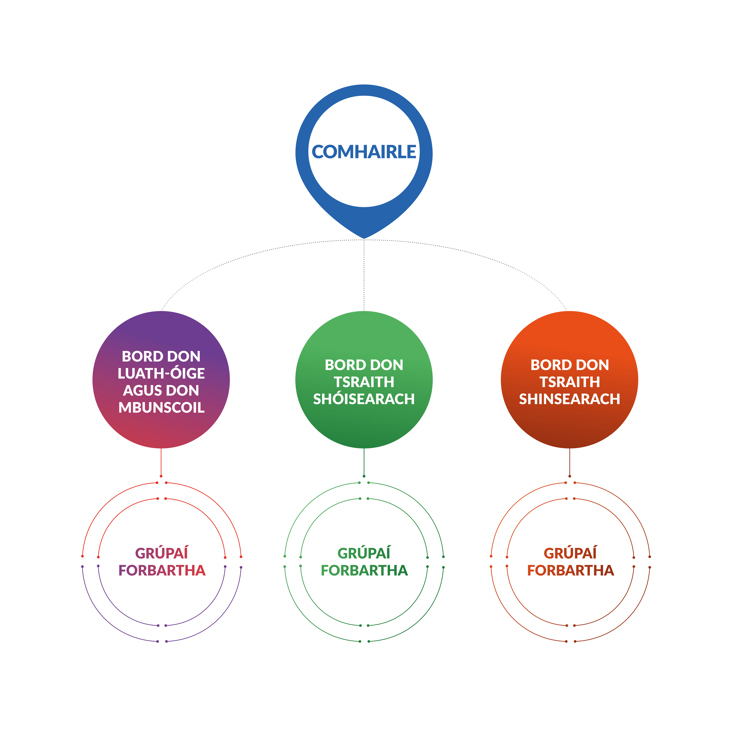 NCCA Corporate Infographic in Irish